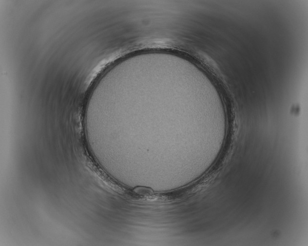 X0000114611218200911171027