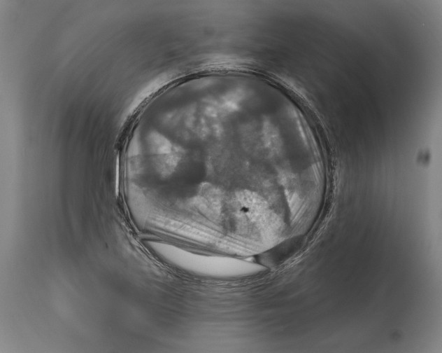 X0000114611219200911171027