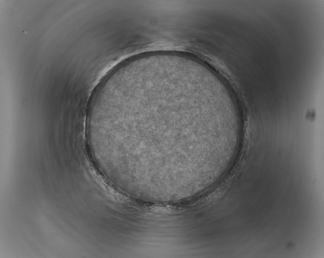 X0000114611220200911171027