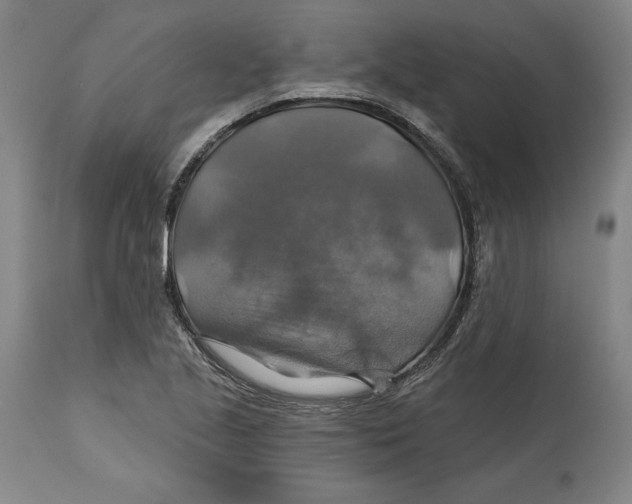 X0000114611221200911171027