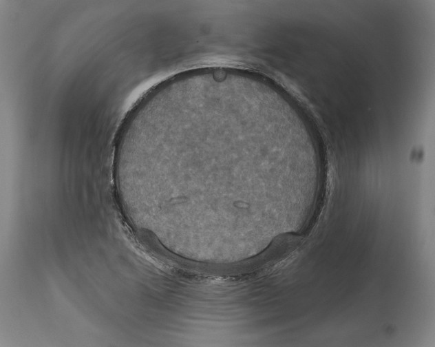 X0000114611222200911171027