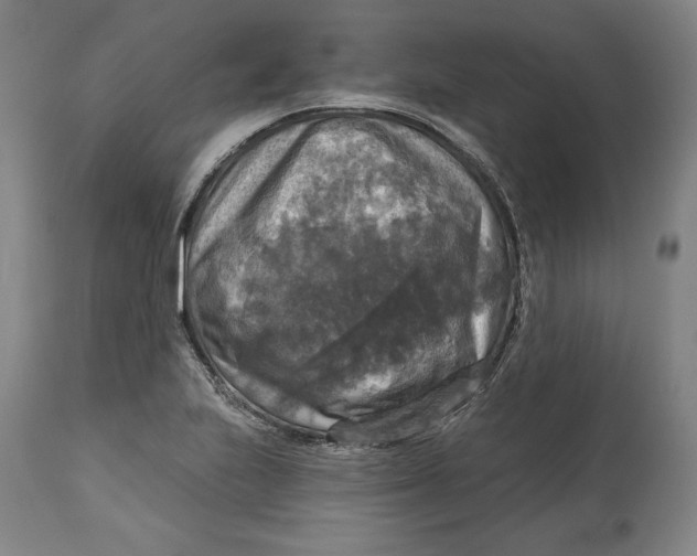 X0000114611223200911171027