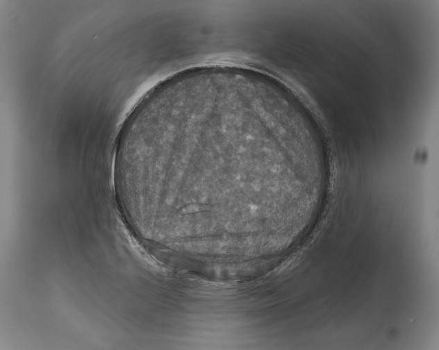 X0000114611224200911171027