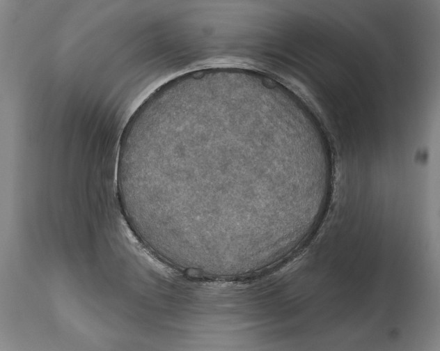 X0000114611228200911171027