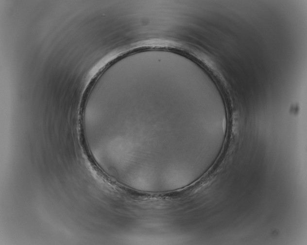 X0000114611229200911171027