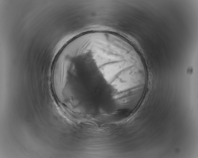 X0000114611231200911171027