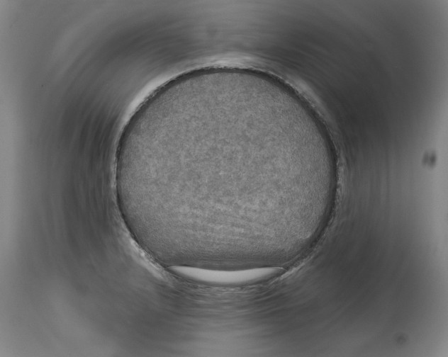 X0000114611232200911171027