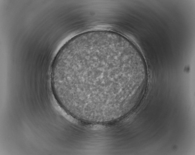 X0000114611235200911171027