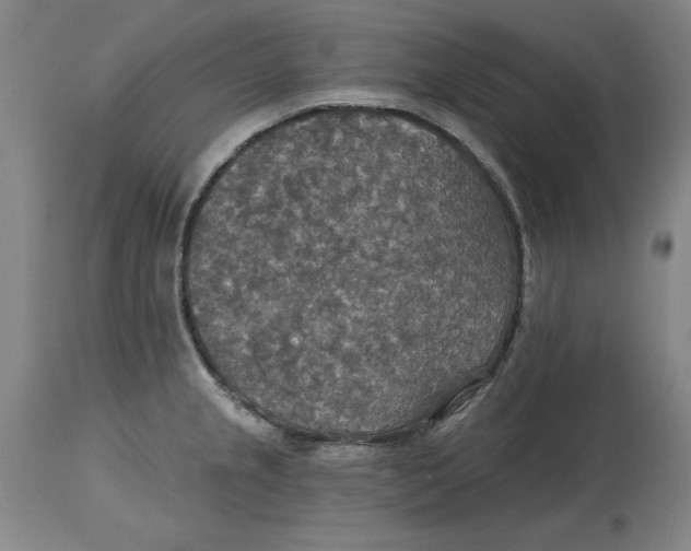 X0000114611237200911171027