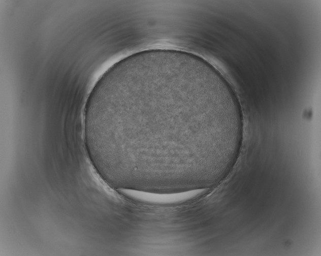 X0000114611238200911171027