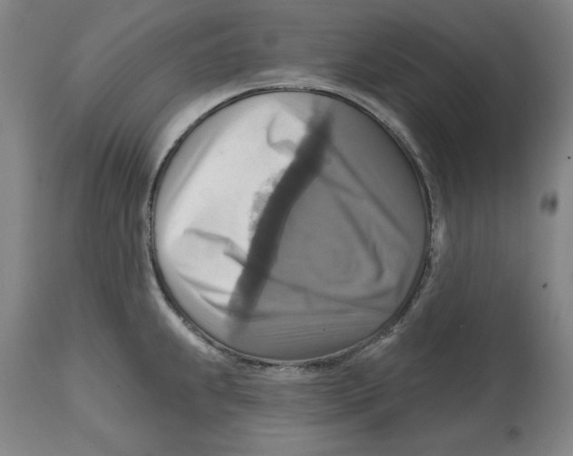 X0000114611239200911171028