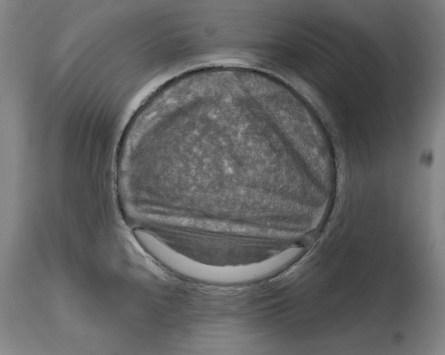 X0000114611240200911171028