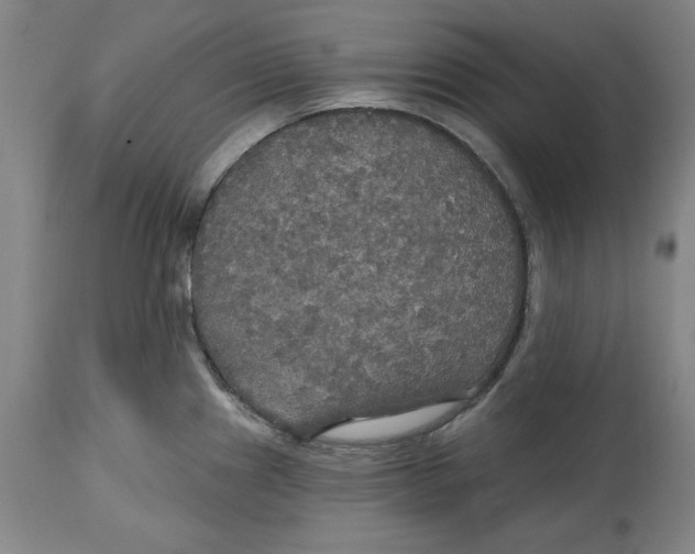 X0000114611241200911171028