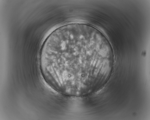 X0000114611243200911171028