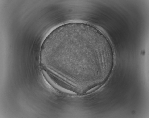 X0000114611244200911171028