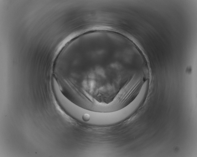 X0000114611245200911171028