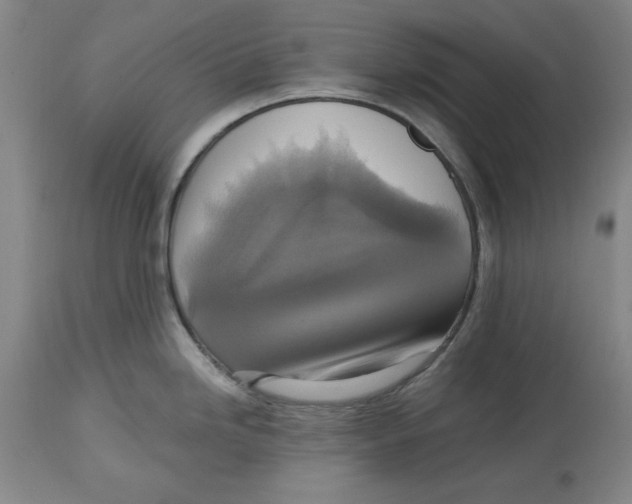 X0000114611246200911171028