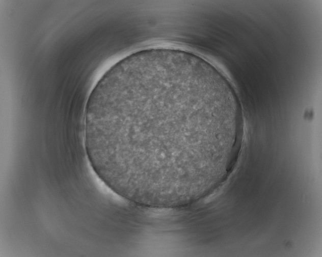 X0000114611247200911171028