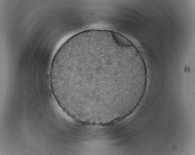 X0000114611248200911171028