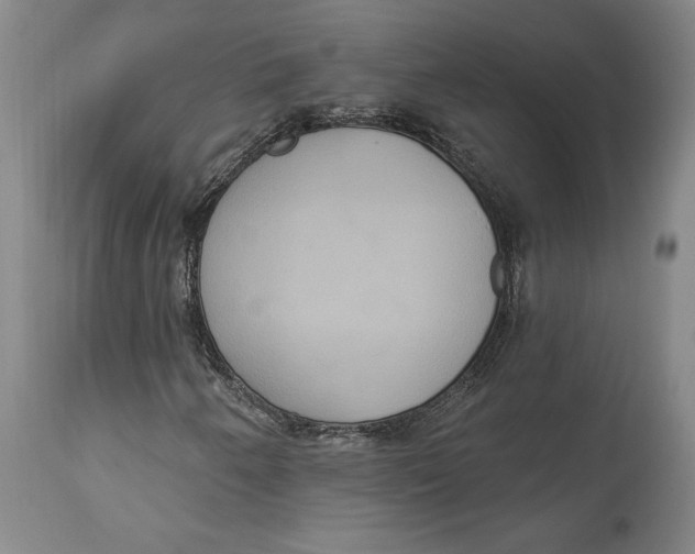 X0000114611250200911171027