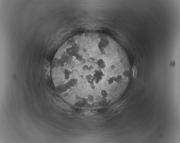 X0000114611251200911171027