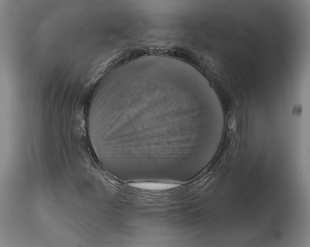 X0000114611252200911171027