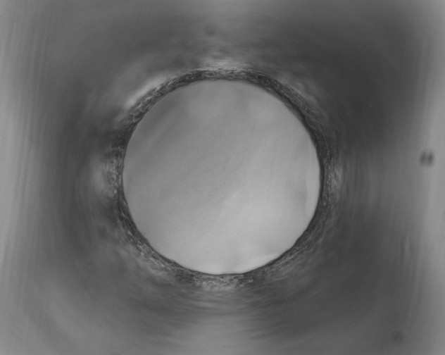 X0000114611254200911171027