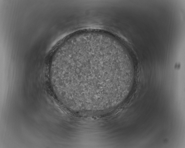 X0000114611255200911171027