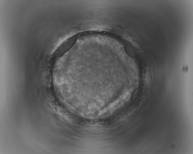 X0000114611256200911171027