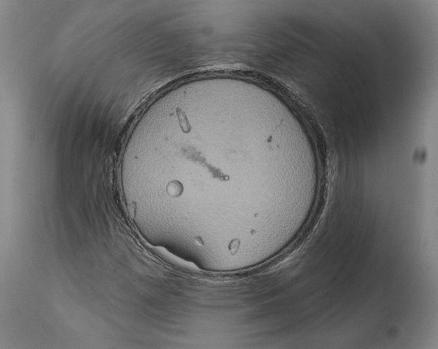 X0000114611257200911171027