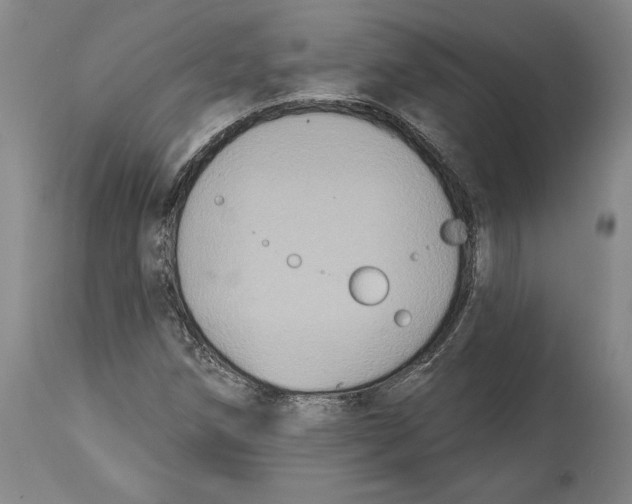 X0000114611258200911171027