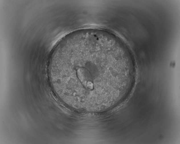 X0000114611259200911171027