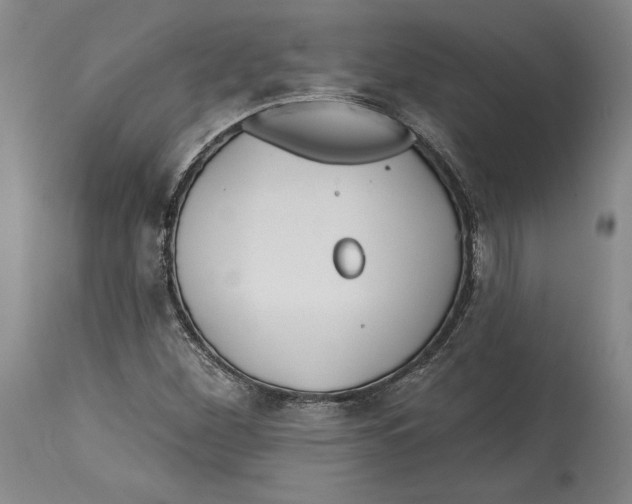 X0000114611260200911171027