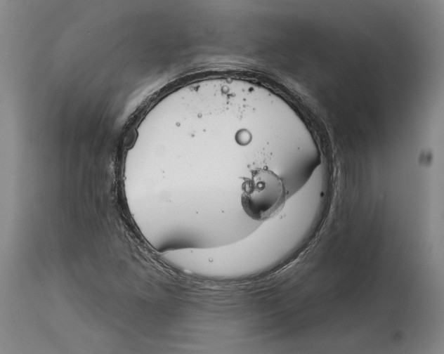 X0000114611261200911171027