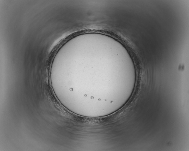 X0000114611262200911171027