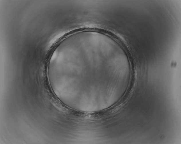 X0000114611263200911171027