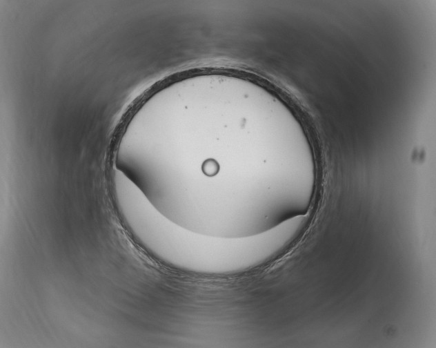 X0000114611264200911171027