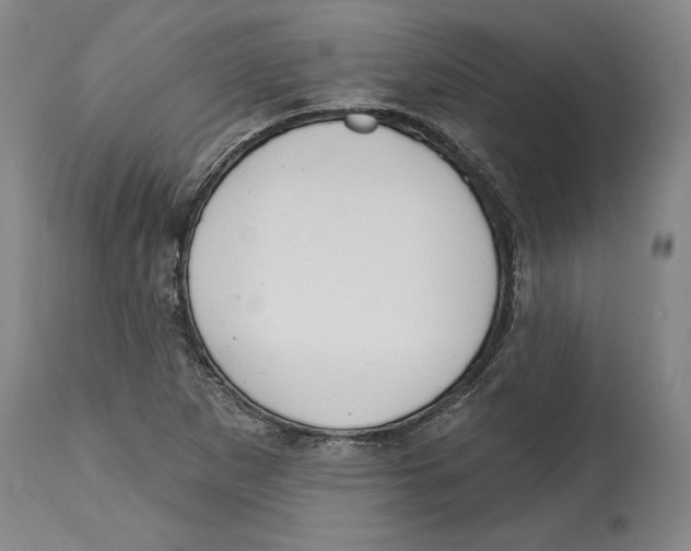 X0000114611265200911171027