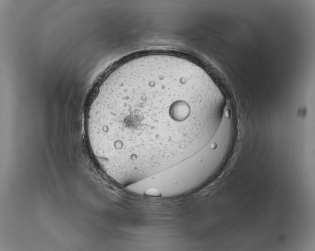 X0000114611267200911171027