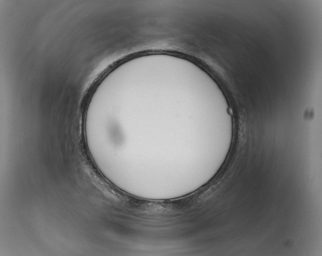 X0000114611270200911171027