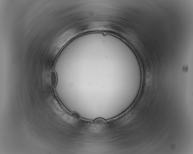 X0000114611273200911171027