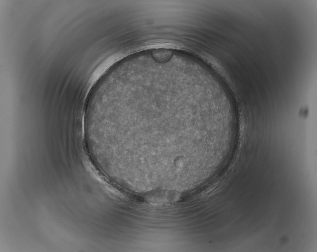 X0000114611274200911171027