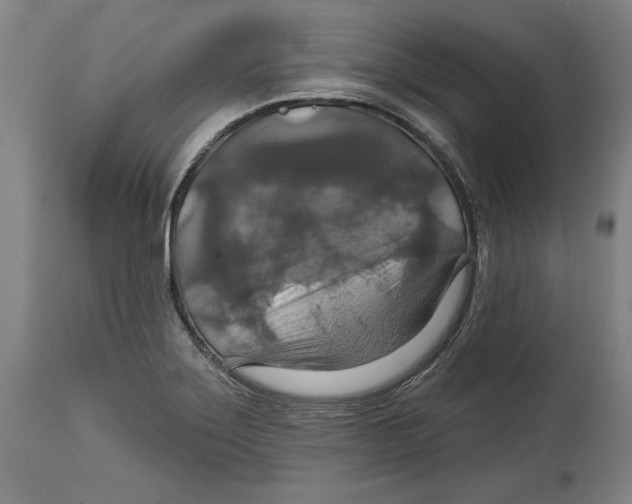 X0000114611275200911171027