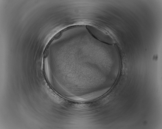 X0000114611276200911171027