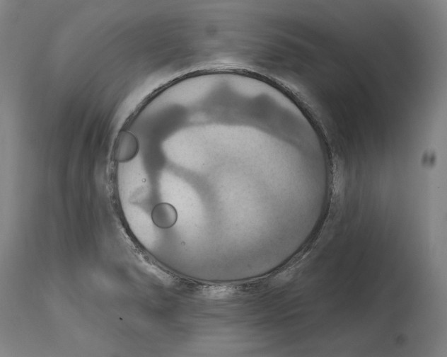 X0000114611278200911171027