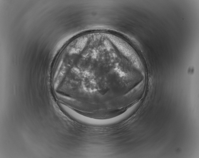 X0000114611279200911171027