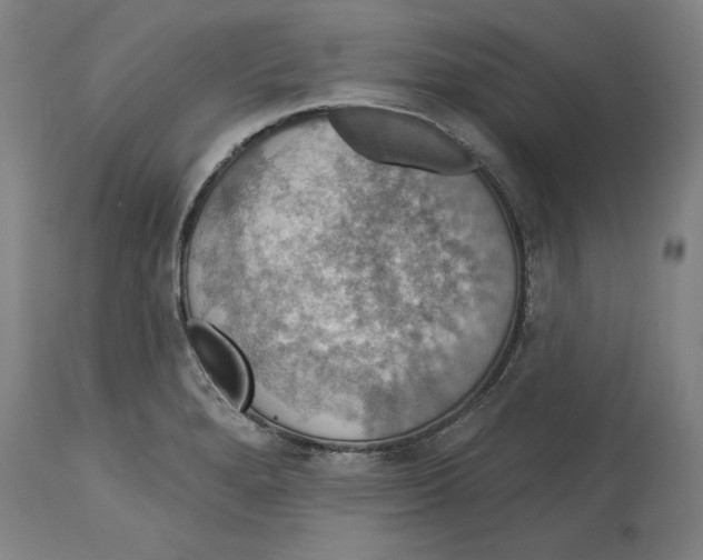 X0000114611280200911171027