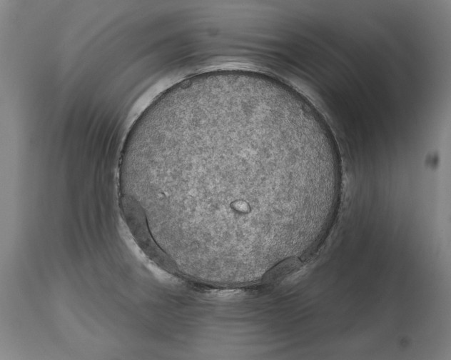 X0000114611282200911171027