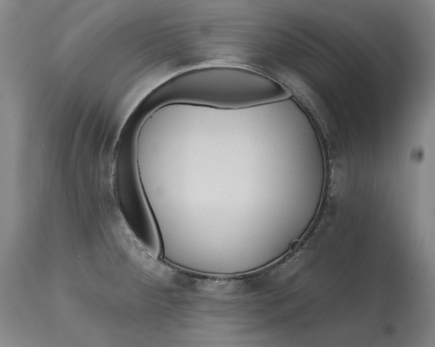 X0000114611284200911171026