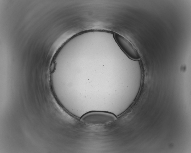 X0000114611285200911171026